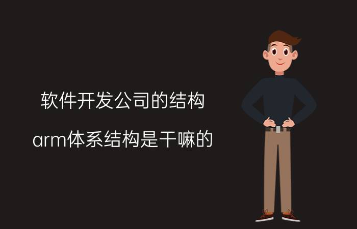 软件开发公司的结构 arm体系结构是干嘛的？